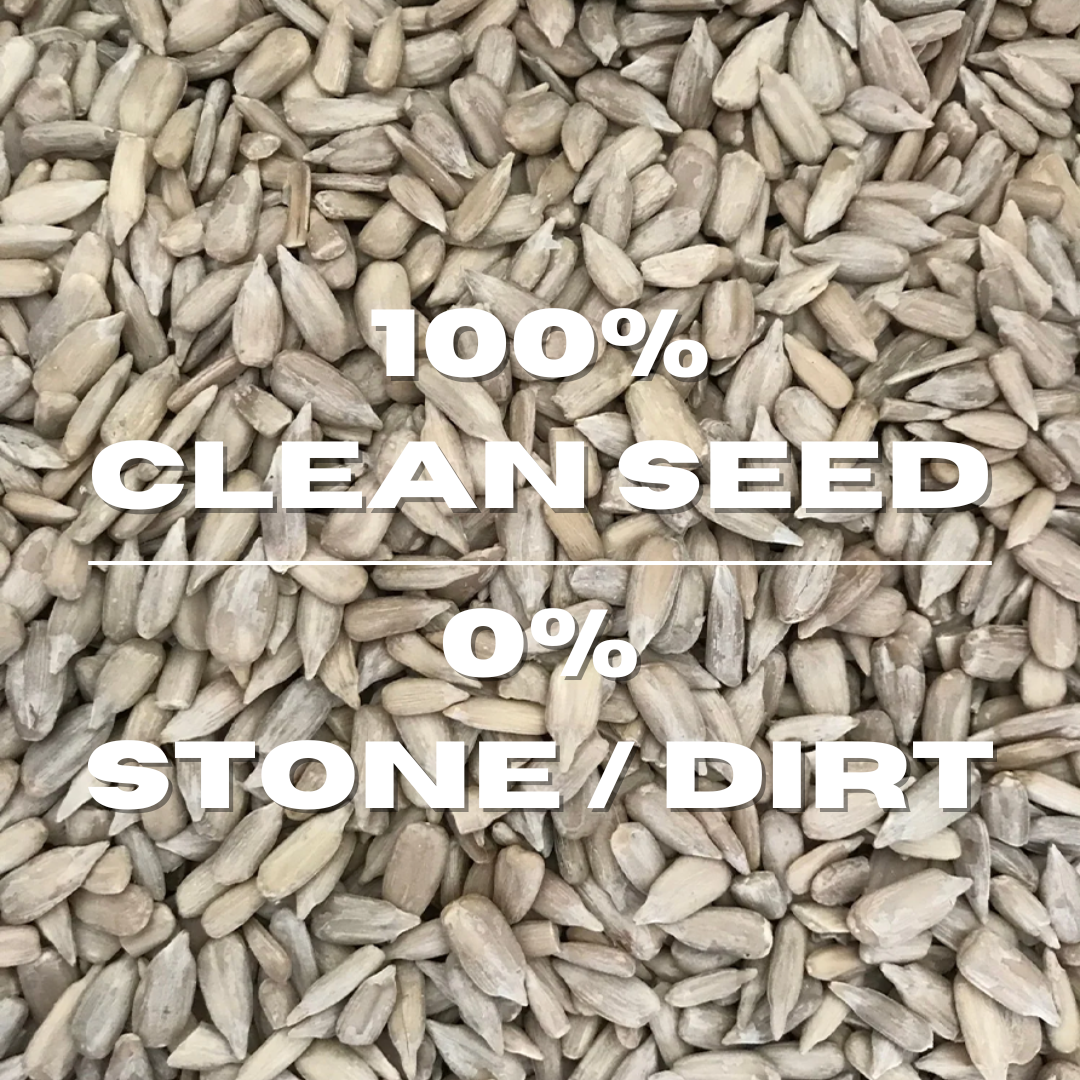 Sunflower Seeds